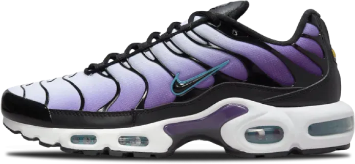 nike_air_max_plus_reverse_grape_fq2415_500_9d9a809225