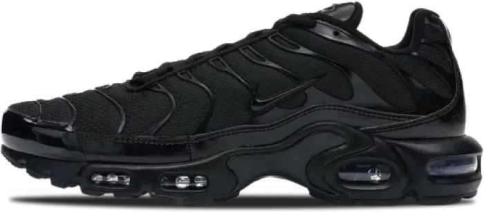 Nike Air Max image