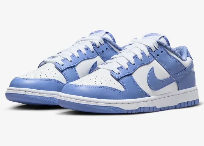 nike-dunk-low-polar-blue-dv0833-400 01.webp