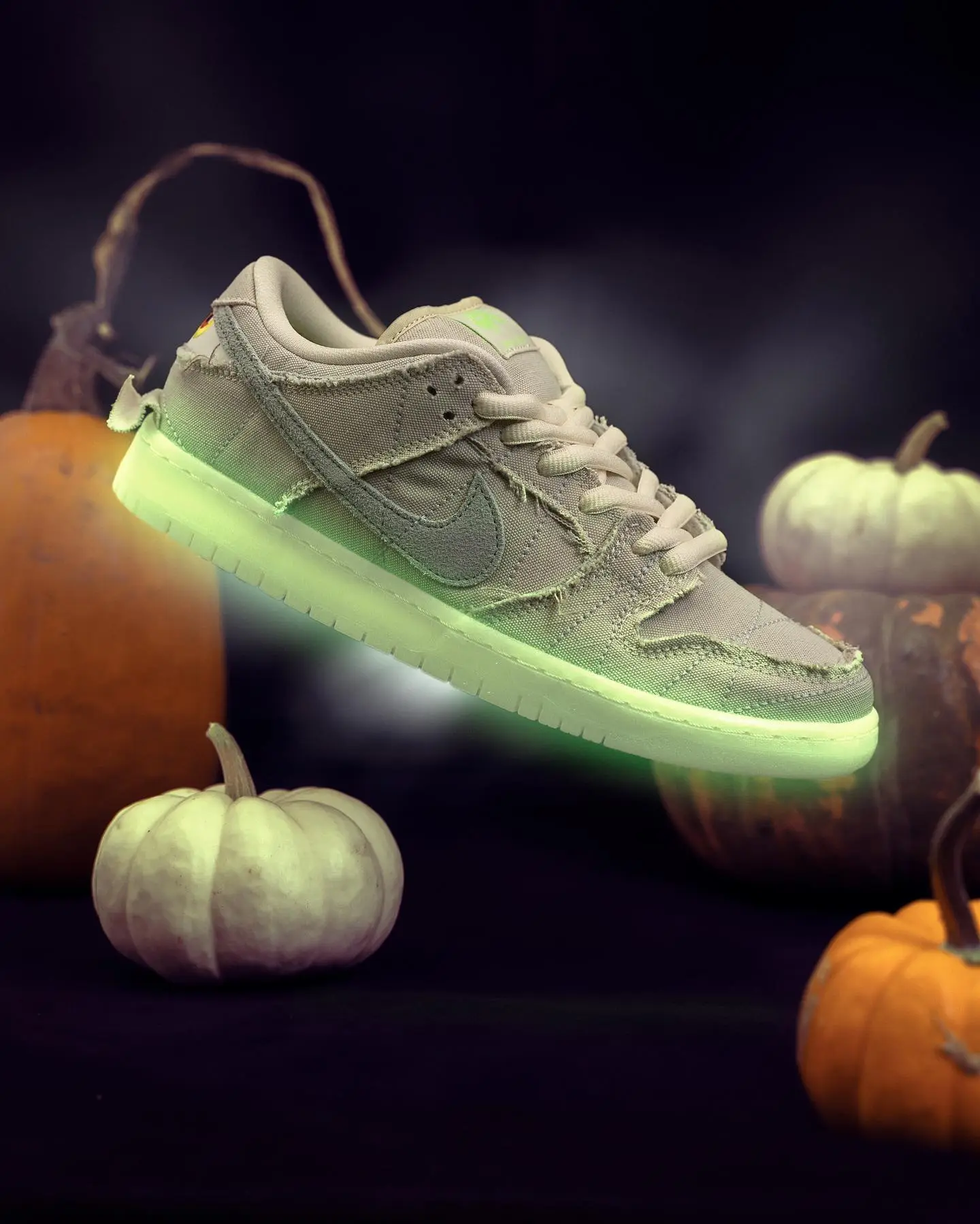 nike sb dunk low mummy DM0774-111