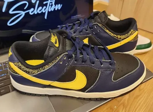 Image de Nike Dunk Low "Vintage Michigan" FZ4014-010