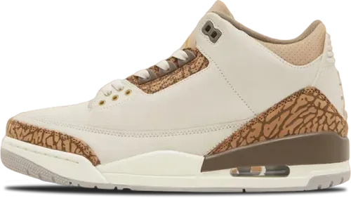 image de Air Jordan 3 Retro GS Palomino DM0967-102