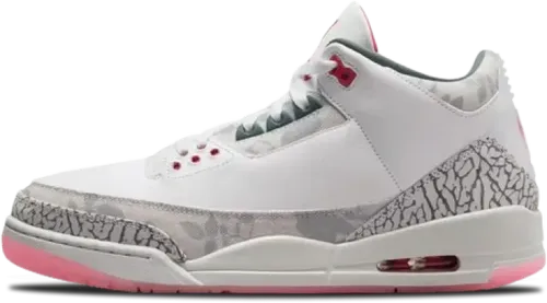 image de Air Jordan 3 Wings Hm6993 100