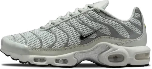 Nike Air Max Plus Wmns Light Silver Fv8480-002