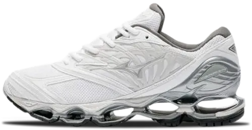 image de Mizuno Wave Prophecy Ls White Silver D1GA333702