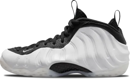 image de Nike Air Foamposite One Penny PE DV0815-100