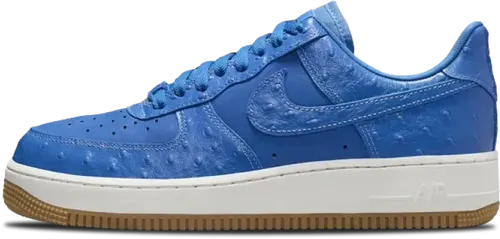 Nike Air Force 1 Low Blue Ostrich Dz2708-400