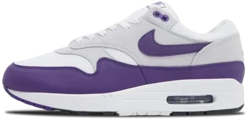 Nike Air Max 1 Field Purple Dz4549 101 image