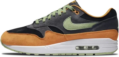 Nike Air Max 1 PRM Duck Anthracite DZ0482-001