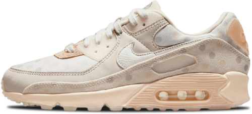 image de nike-air-max-90-nrg-venn-diagram-shimmer-sand-cz1929-200.png