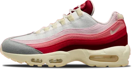 image de Nike Air Max 95 Anatomy Of Air DM0012-600