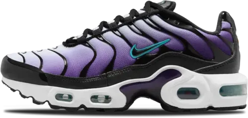 Nike Air Max Plus GS Black Grape FQ2412-500