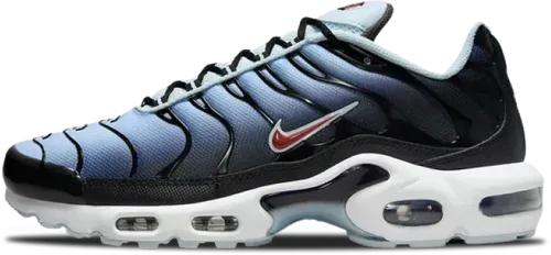 image de Nike Air Max Plus Swoosh! DM0032-008