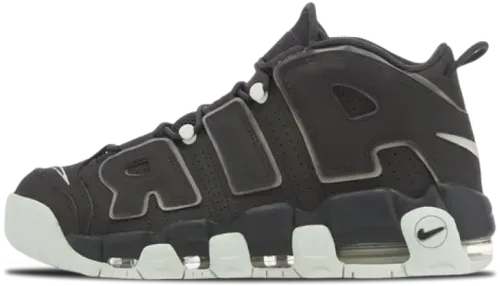 image de Nike Air More Uptempo 96 Dark Smoke Grey FJ4181 001