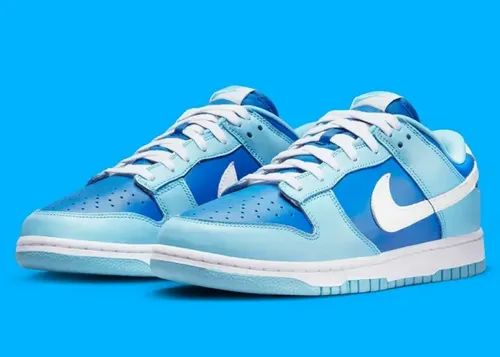 nike-dunk-low-argon-dm0121-400 01.webp