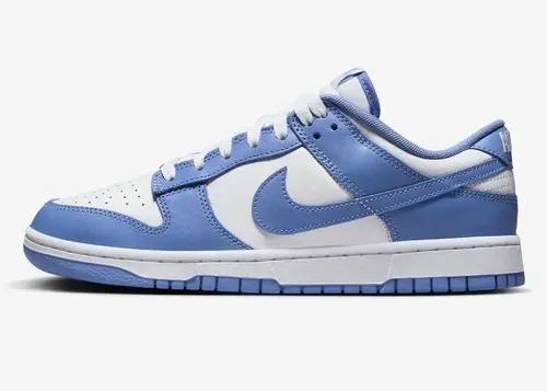 nike-dunk-low-polar-blue-dv0833-400 02.webp
