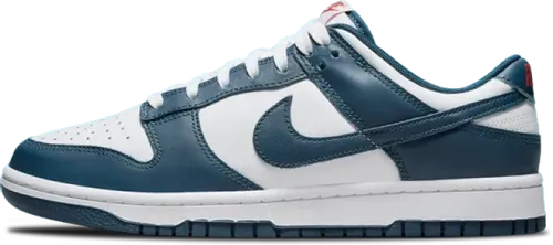 nike-dunk-low-valerian-blue-dd1391-400.webp