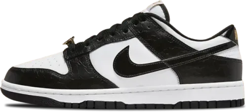 Image de nike-dunk-low-world-champ-dr9511-100.webp