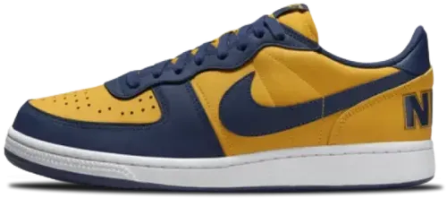 image de Nike Terminator Low “Michigan” FJ4206-700