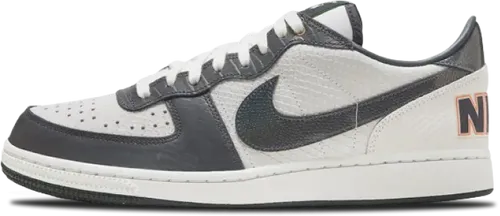 image de Nike Terminator Low Snakeskin FN9331-191