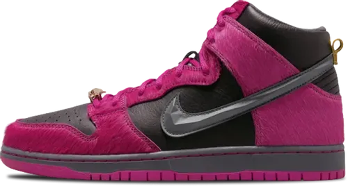 image de Run The Jewel Nike SB Dunk High DX4356-600