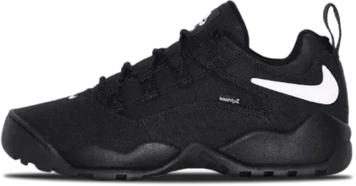 Image de Supreme Nike Sb Darwin Low Black FQ3000-001