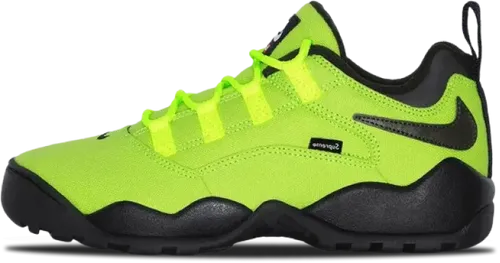 Image de Supreme Nike Sb Darwin Low Volt FQ3000-700